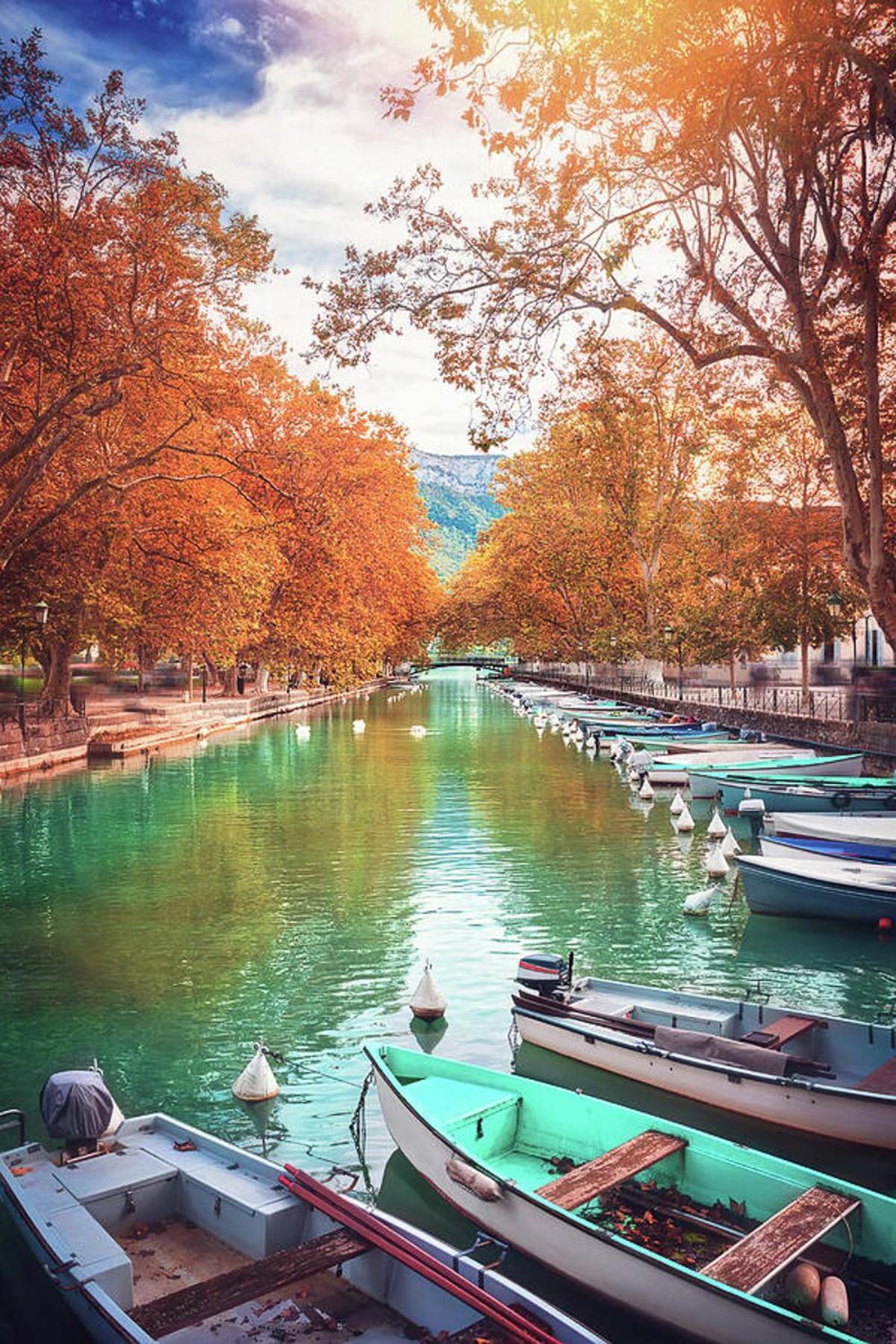 Le Coquelicot 3 Etoiles - Proche Vieille Ville, Calme & Confort Annecy Exterior photo
